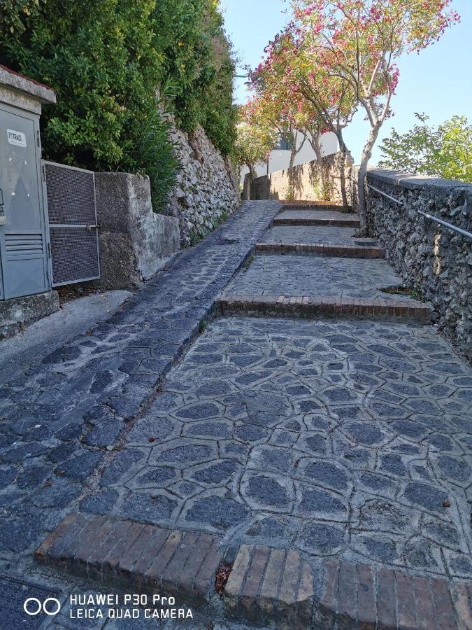 A Casa Di Samu Bed & Breakfast Ravello Ngoại thất bức ảnh